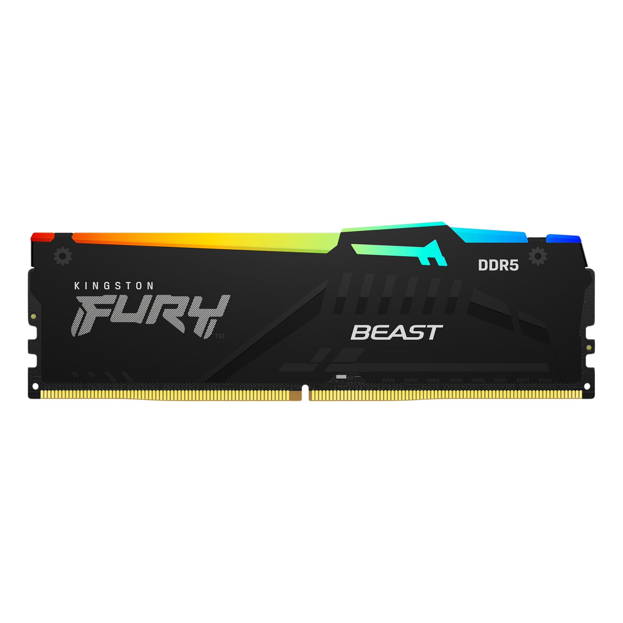 Kingston Fury Beast RGB DDR5 Desktop Memory