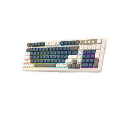 Aula 99 Keys Wireless RGB Gasket 99% Mechanical Gaming Keyboard Tri-Mode S99