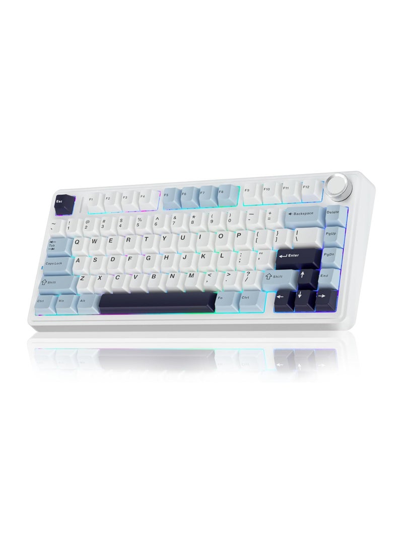 Aula 75 Keys RGB 75% Mechanical Gaming Keyboard Tri-Mode Knob V3 Grey Switch F75 Enchanted Garden